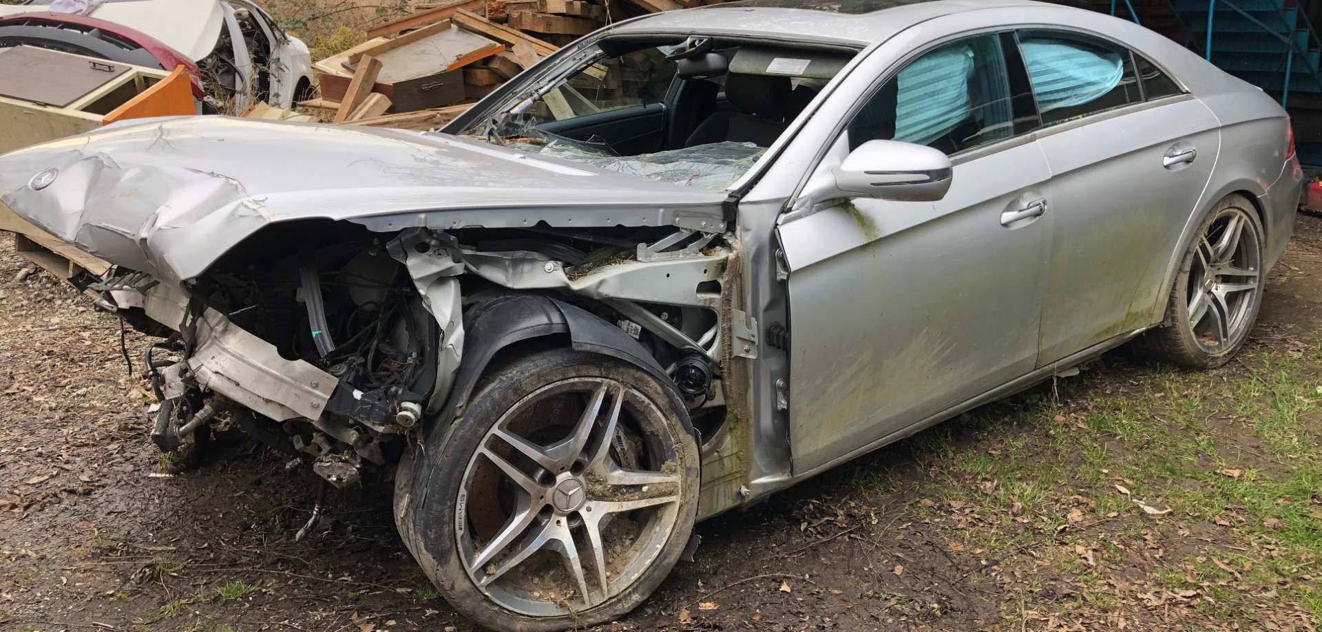 IMG_9195 (Large) - Copy