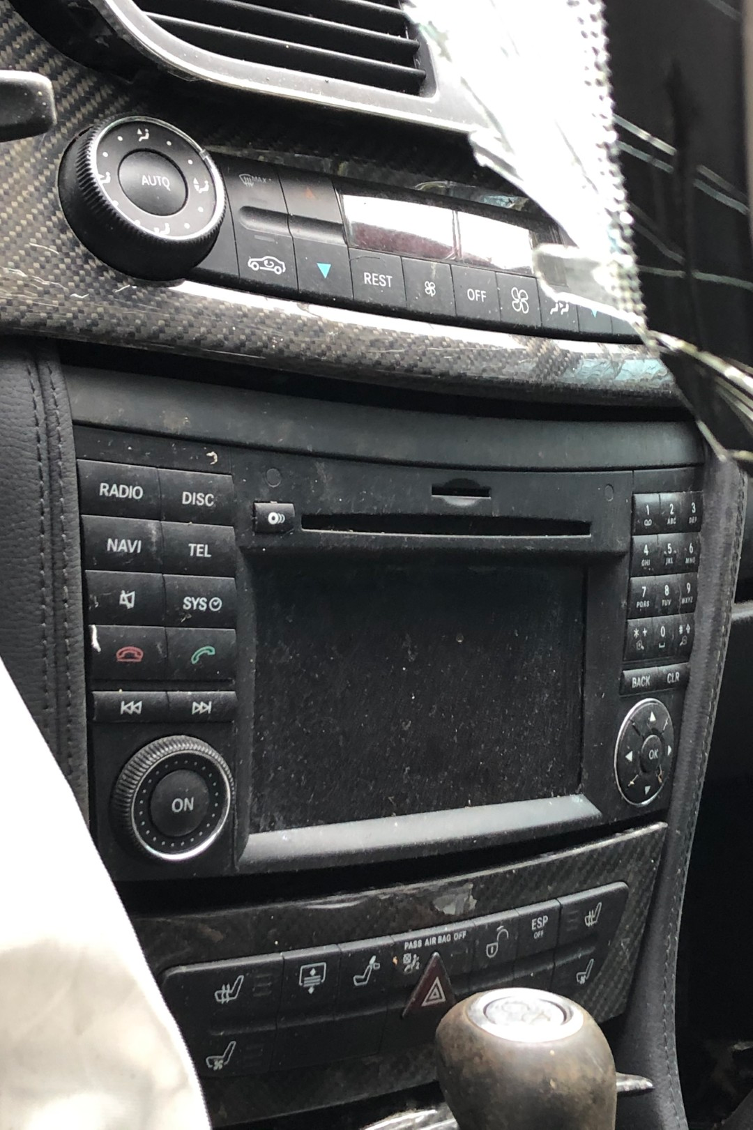 IMG_9236 (Large) - Copy