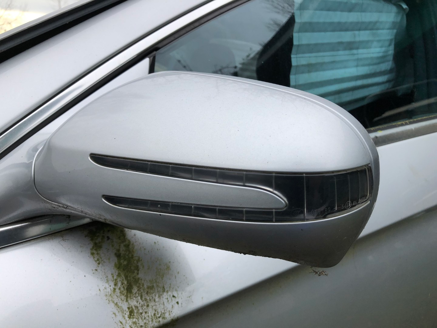 IMG_9247 (Large) - Copy