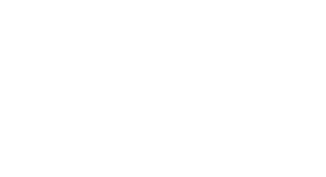 mini white logo