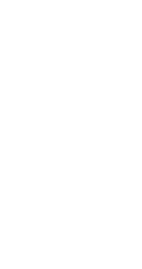 white vw logo